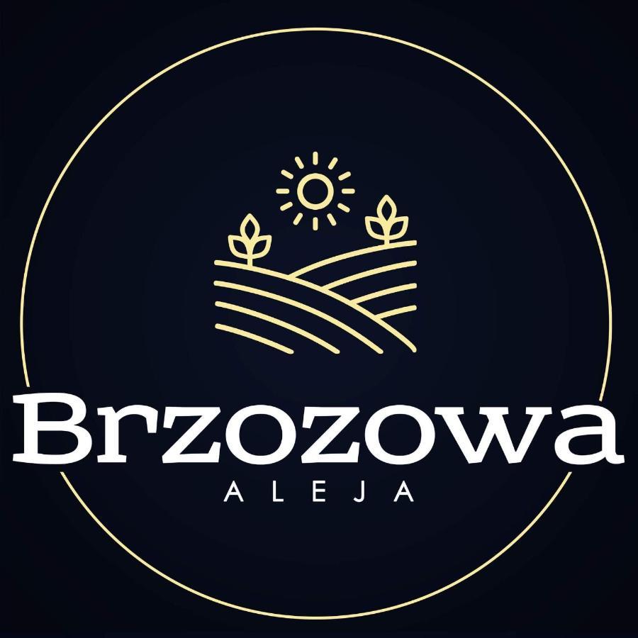 Villa Brzozowa Aleja Radawa Esterno foto